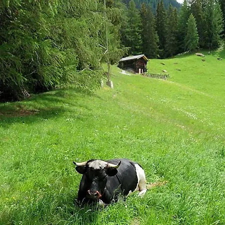 Nufenen