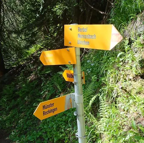 Hotel Nufenen Ulrichen