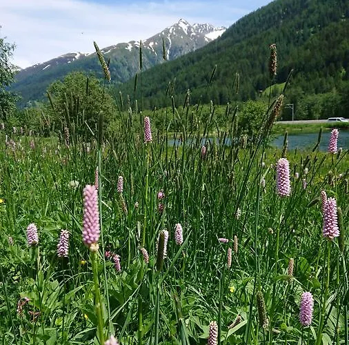 Nufenen Hotel Ulrichen