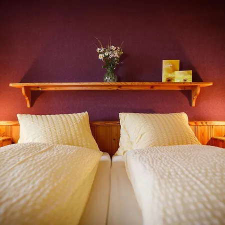 Hotel Nufenen