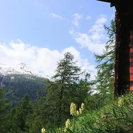 Hotel Nufenen 3*
