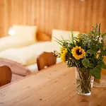 Hotel Nufenen