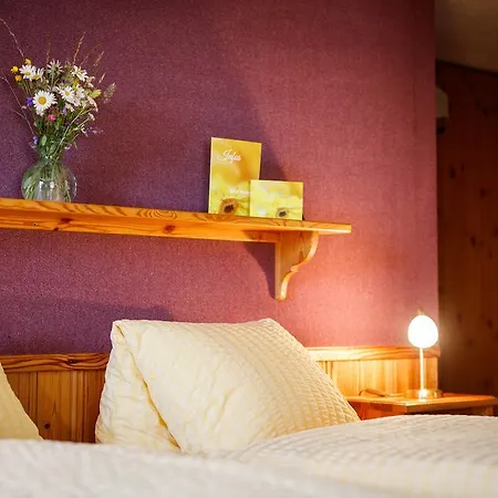 Otel Nufenen Ulrichen