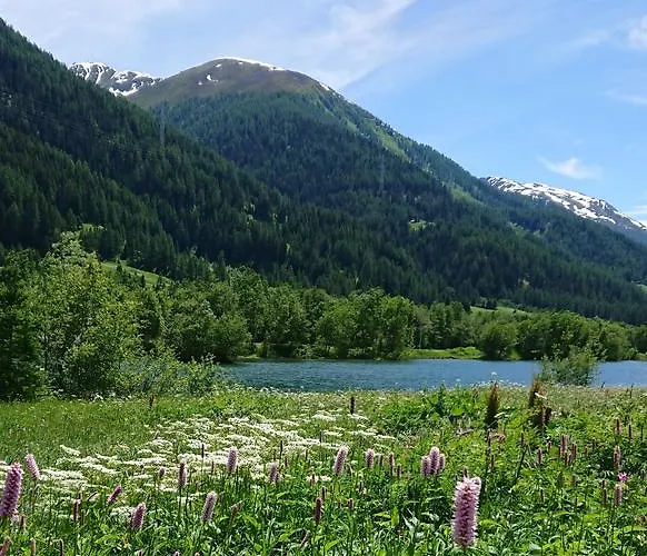 Nufenen